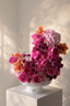 Fuchsia Garden