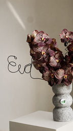 Espresso Orchid