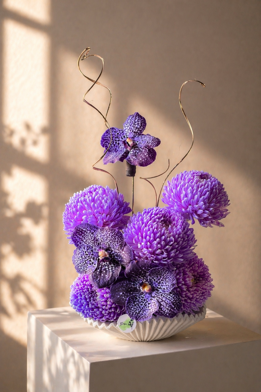 Violetta