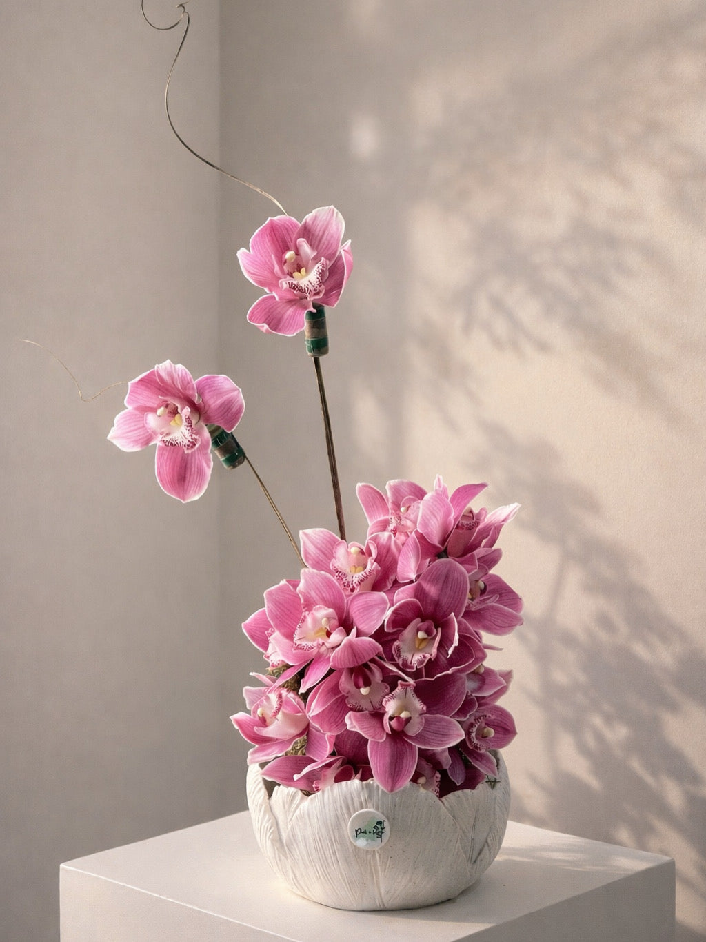 Rosé Poise Main image