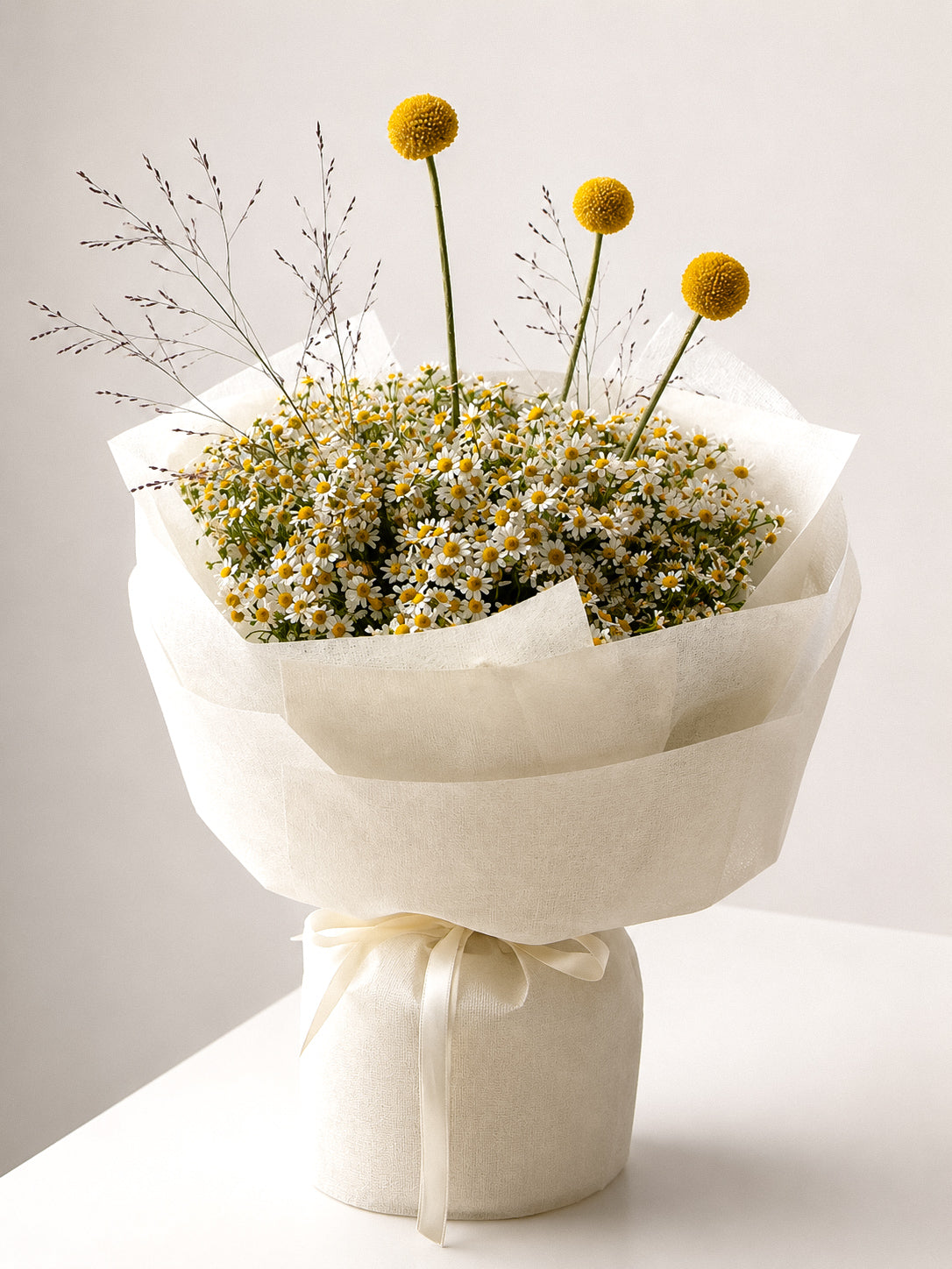 Daisy Muse Main image