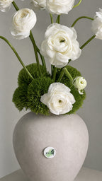 Blanc Écho