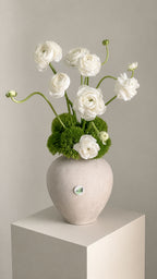 Blanc Écho
