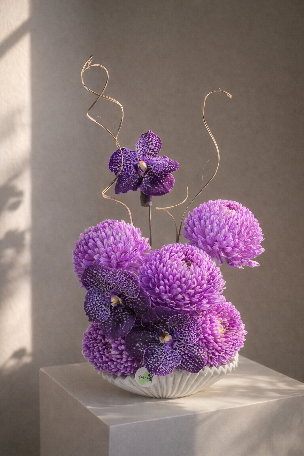 Violetta Secondary image