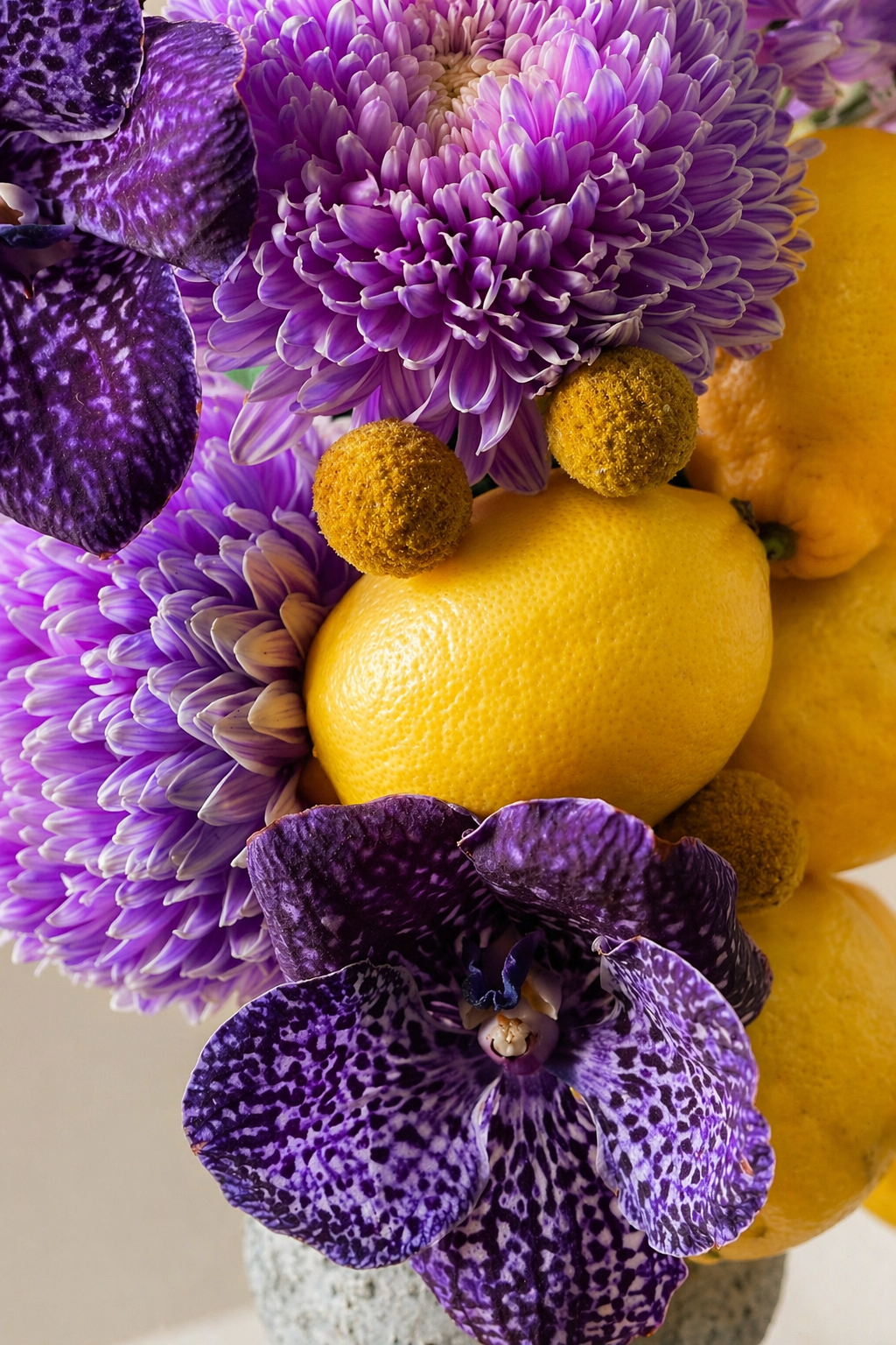 Lemon Violetta