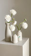 Ivory Set