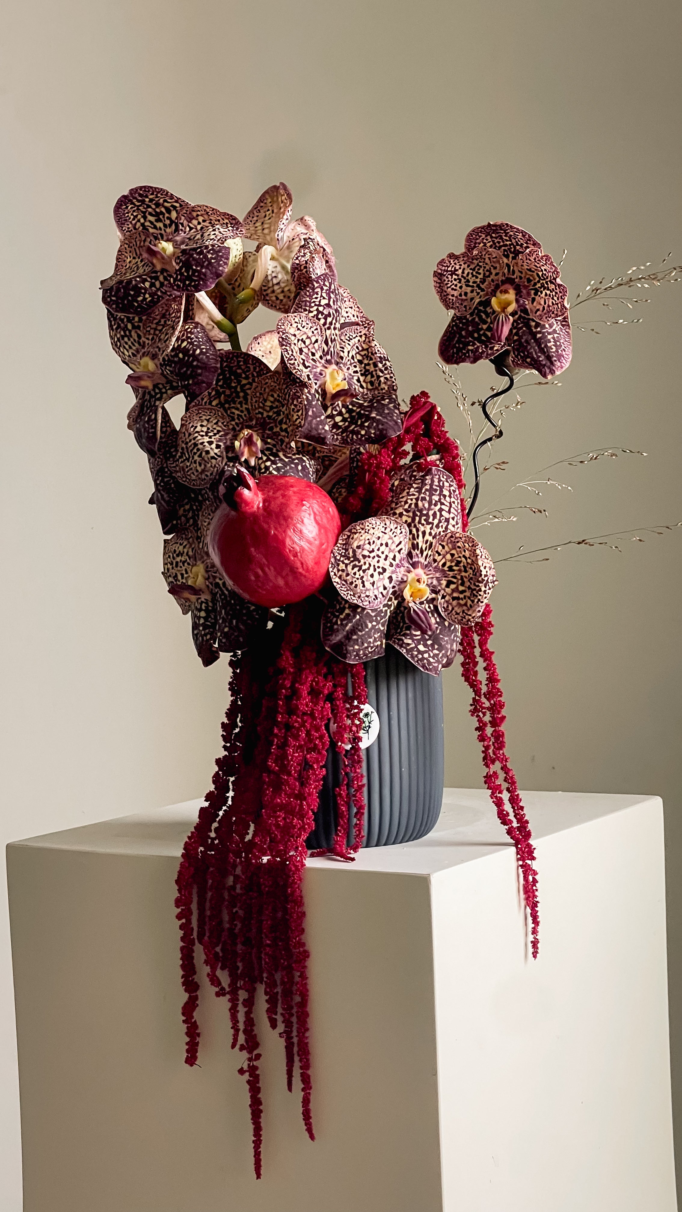 Pomegranate Noir