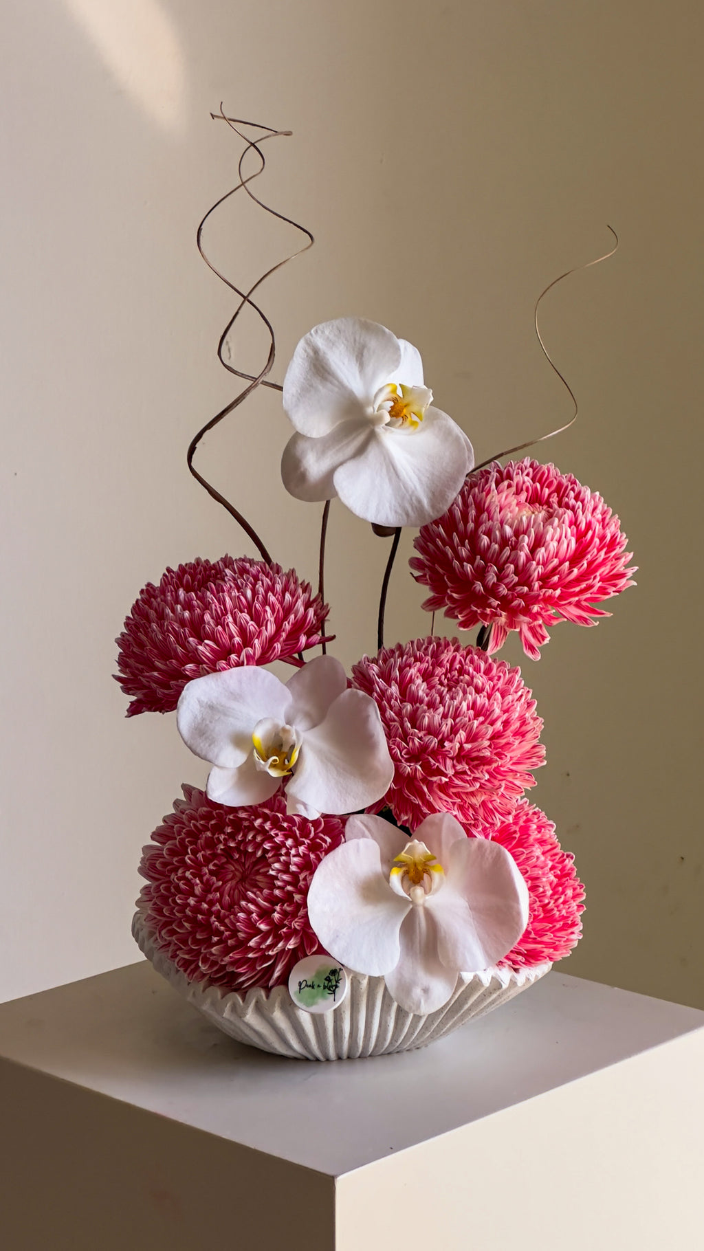 Orchid Gelato