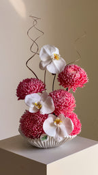 Orchid Gelato