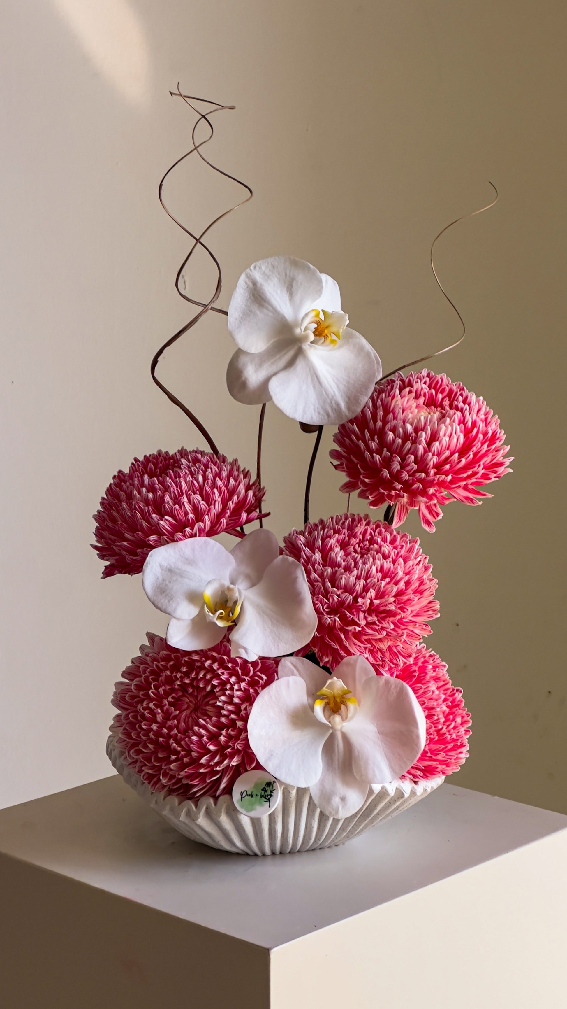 Orchid Gelato