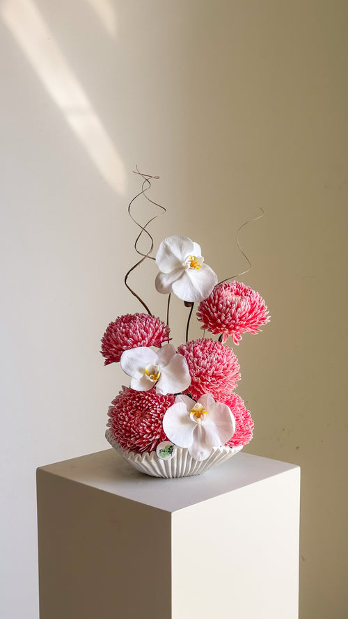Orchid Gelato