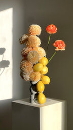 Limoncello