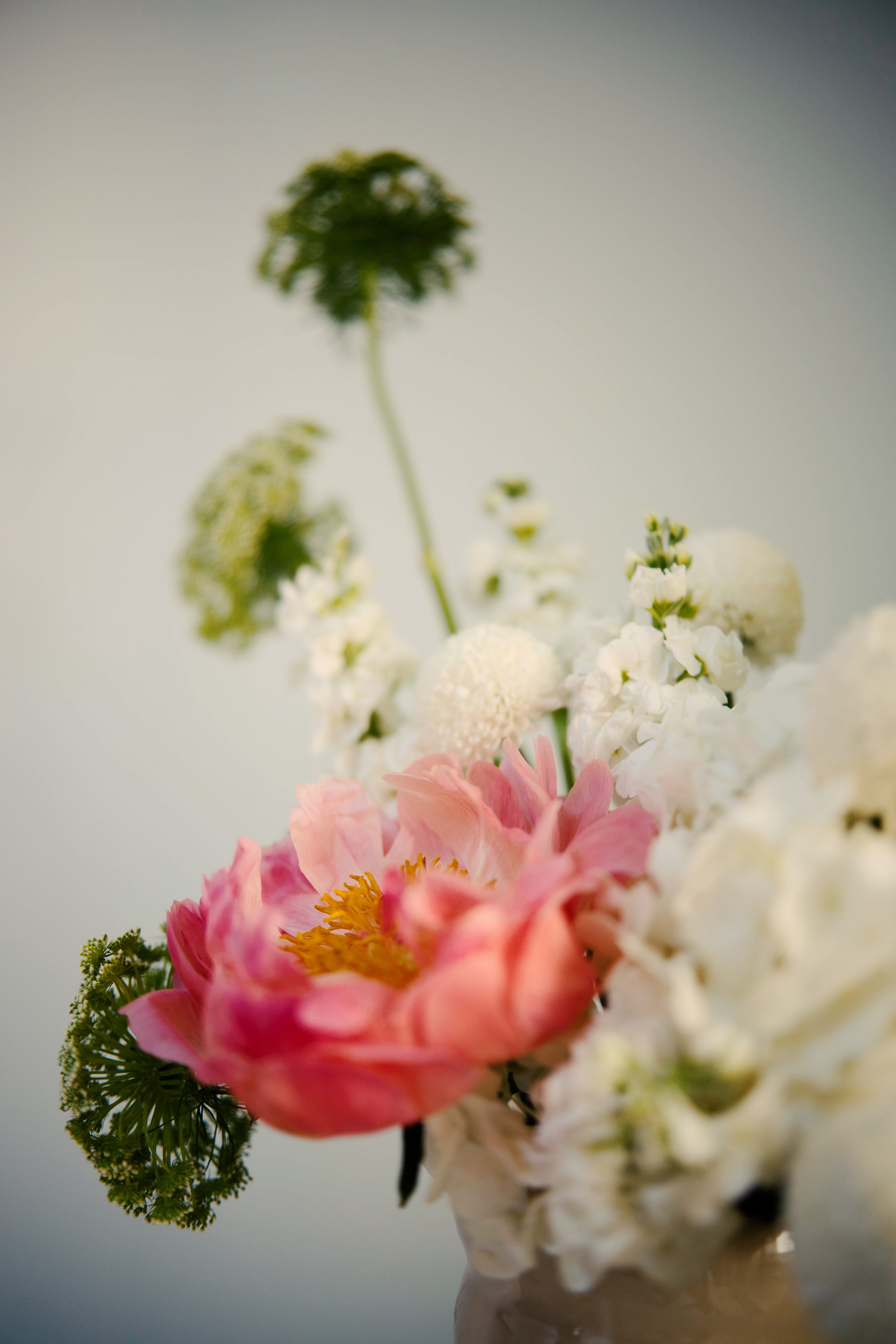 Lulu Secondary image