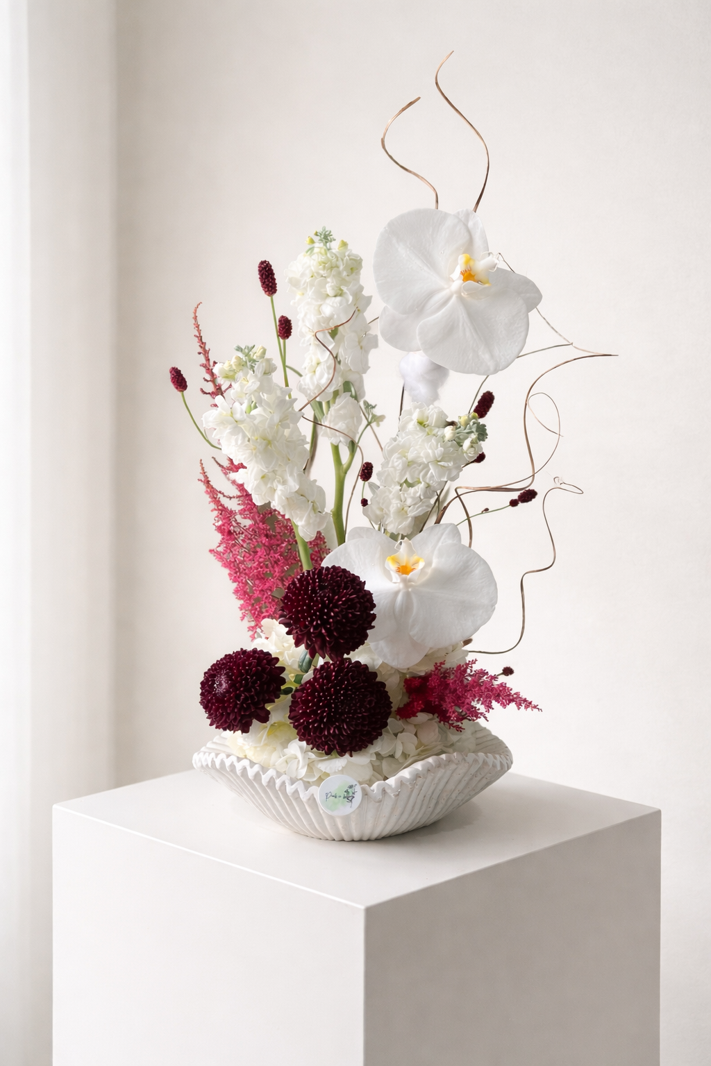 Mini Venezia Main image