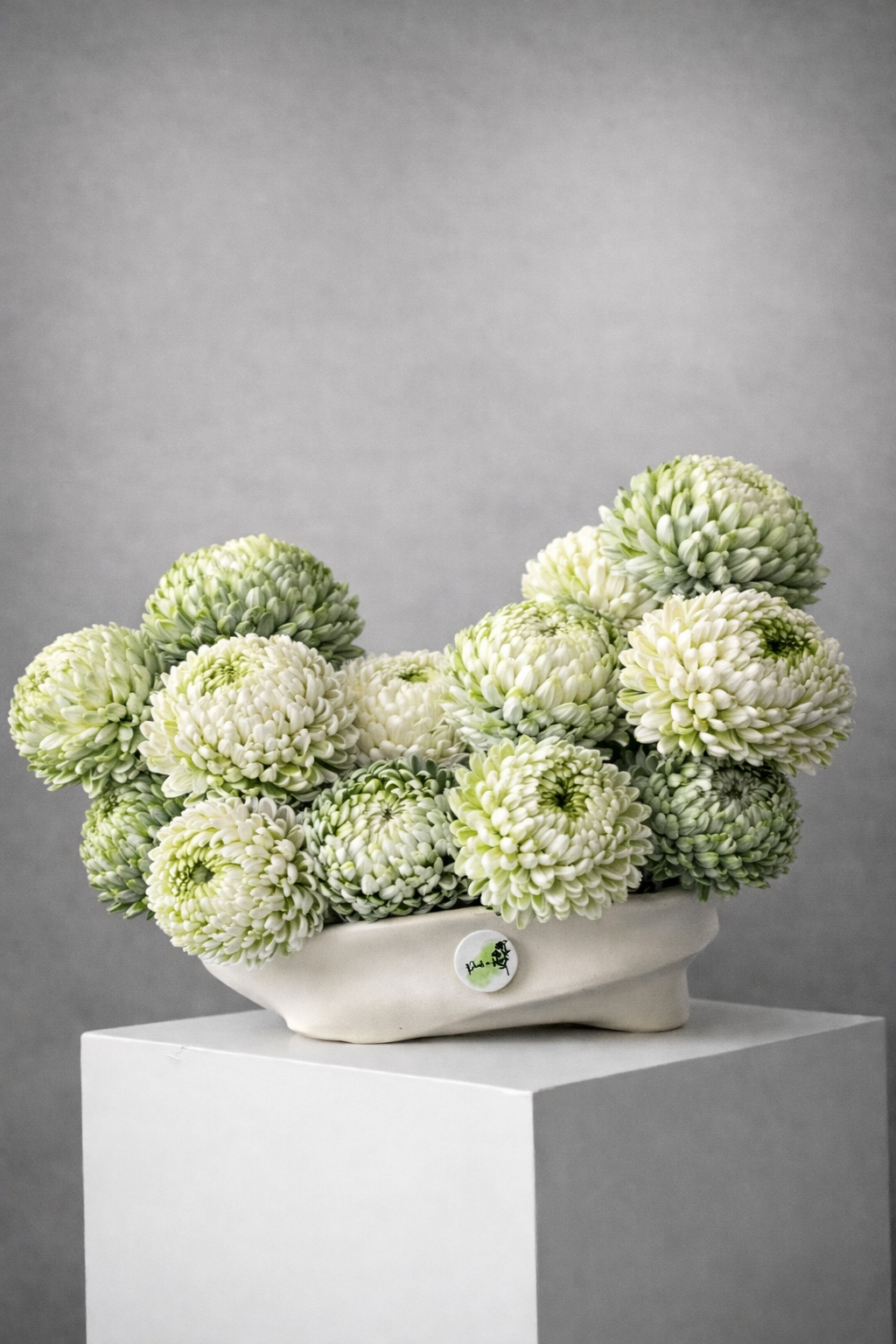 Peppermint Main image